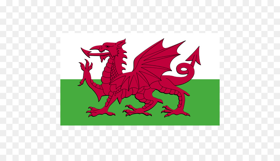 Flagge Wales Welsh Drache nationalflagge - Flagge