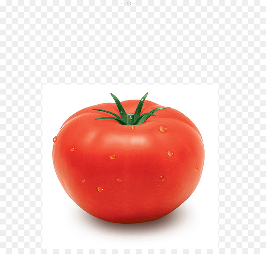 Mai, cà chua chua Bụi thức Ăn Hạt giống - tất cả trái cây