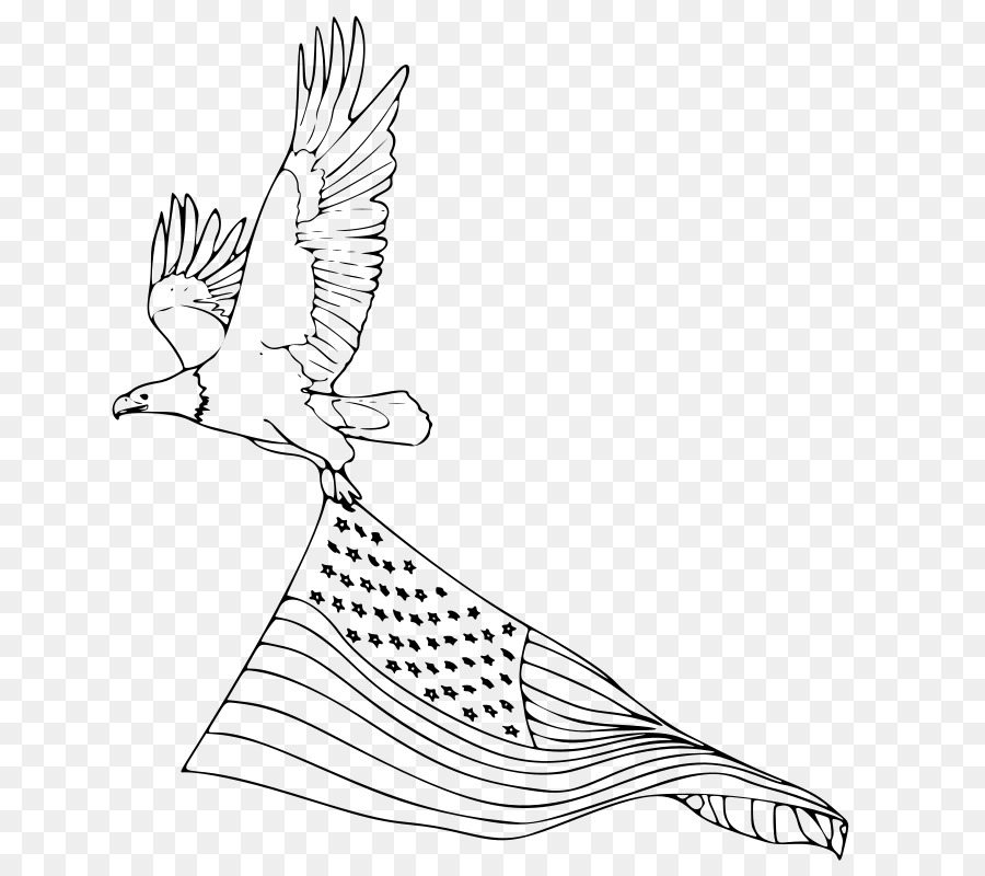 Weißkopfseeadler Malbuch Vereinigte Staaten - Adler