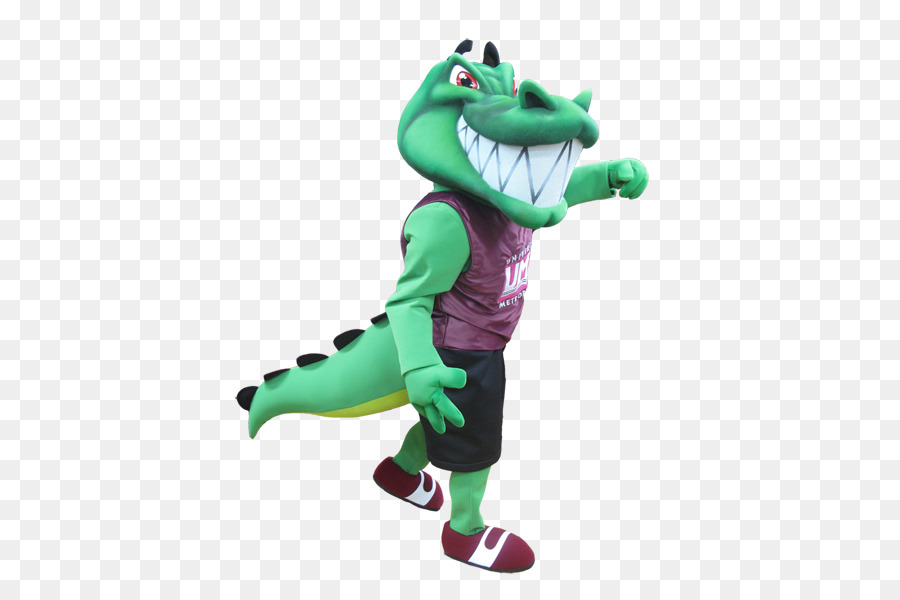 Alligatoren Krokodil Maskottchen Kostüm Sport - gator Maskottchen