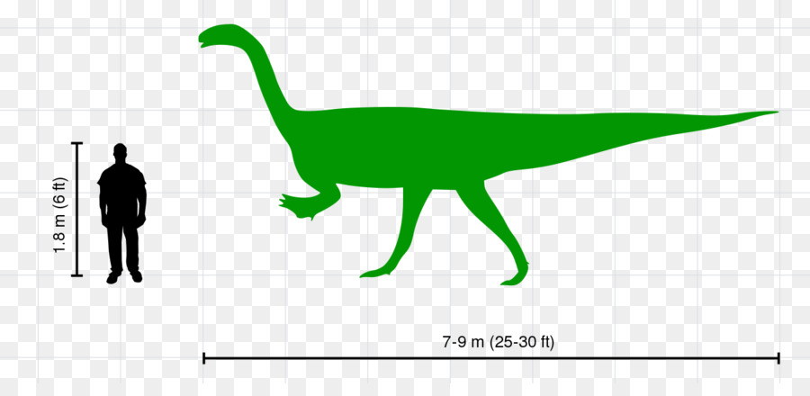 Plateosaurus Tyrannosaurus Velociraptor Dinosaurier Ceratosaurus - Dinosaurier