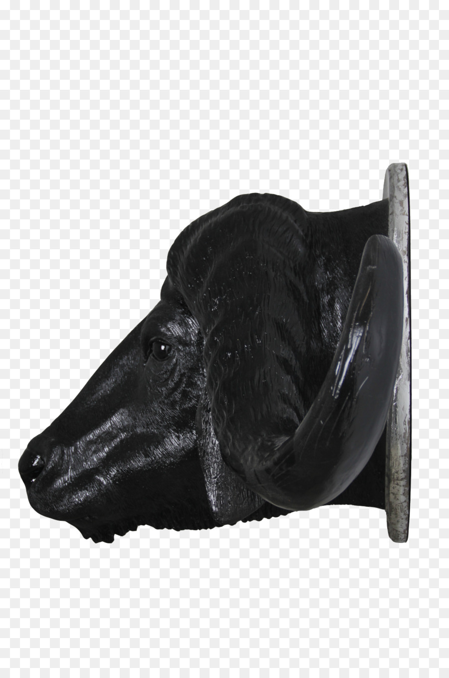 Schuh Schnauze Schwarz M - buffalo Kopf