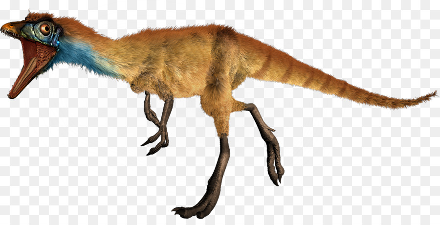 Compsognathus Dinosauro di dimensioni Ceratosaurus Diplodocus Microraptor - Dinosauro