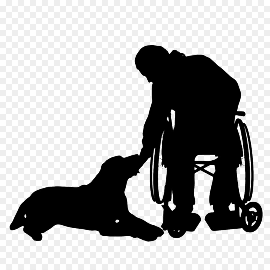 Cane Disabilità Sedia A Rotelle - cane