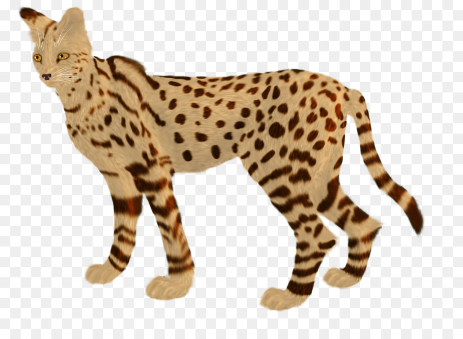 Baffi Cheetah Leopard Ocelot Wildcat - ghepardo
