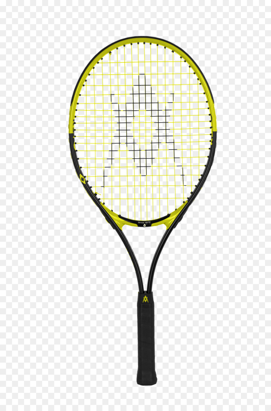 Babolat Tennisschläger Völkl Strings - Badminton zerschlagen