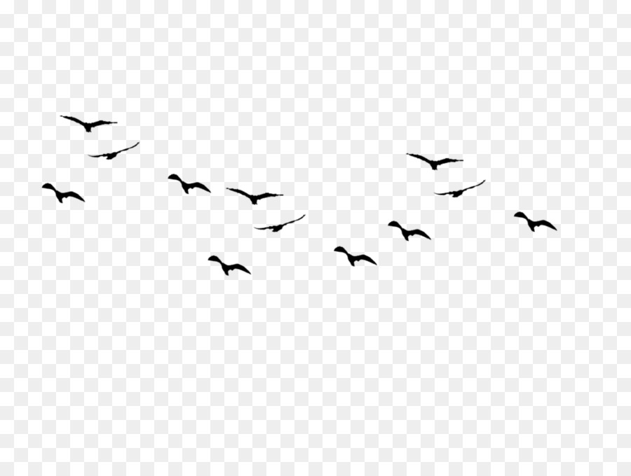 Uccello di volo di Rondine Uccello volo Silhouette - uccello