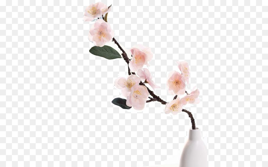 Fiori di ciliegio, Fiore di Prugna - sakura fiori