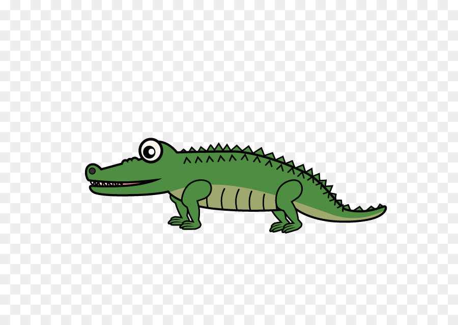 Alligatoren Krokodil Turtle Clip art - Krokodil