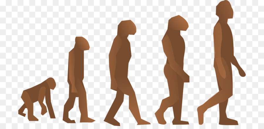 L'evoluzione umana L'Evoluzione dell'Uomo, gli esseri Umani Moderni, Clip art - la visione binoculare