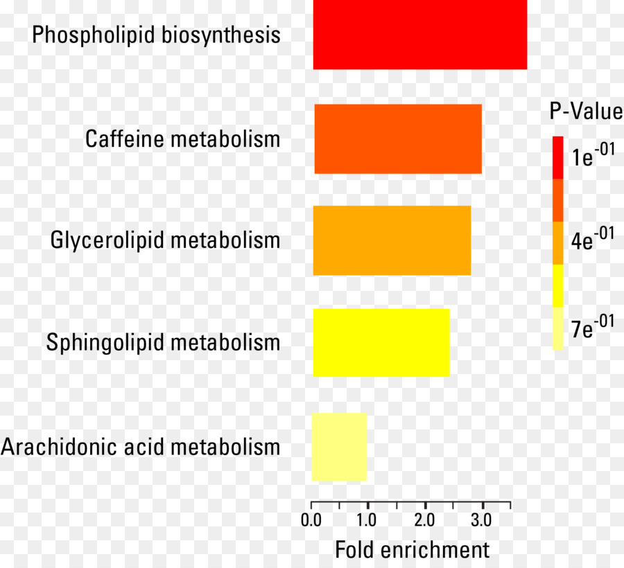 La metabolomica Lipidomics Exosome profilo Metabolico: Metodi e Protocolli di Metaboloma - analizzatore differenziale