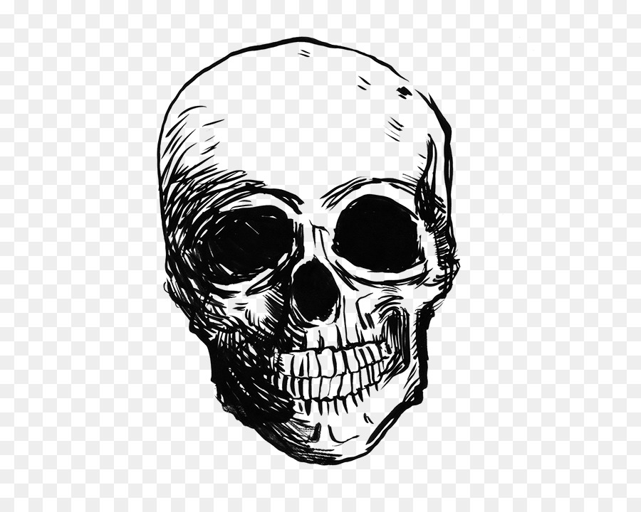 Skull Drawing