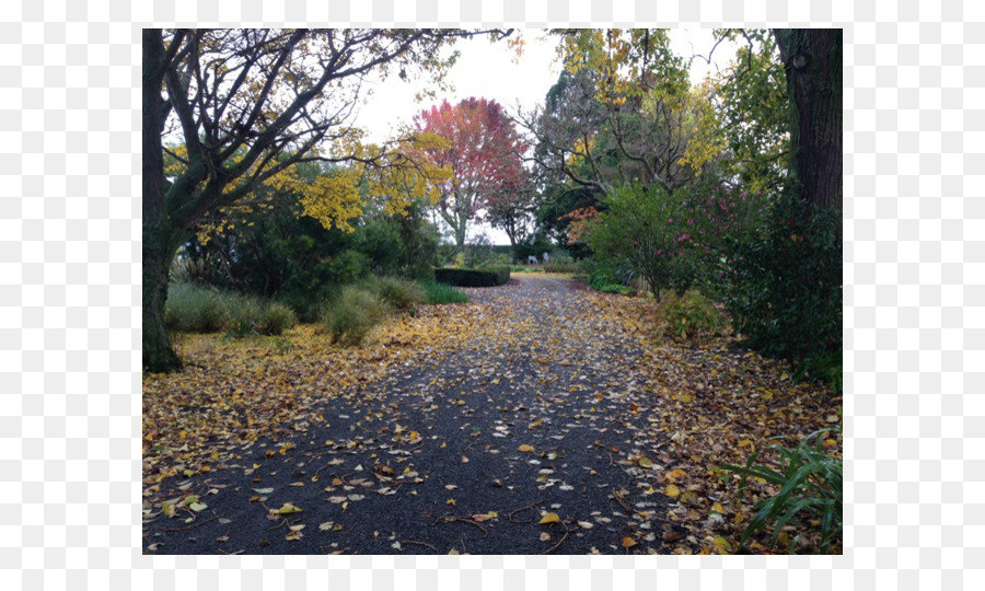 Parkähnliches Grundstück Malerei Herbst - schöner Garten