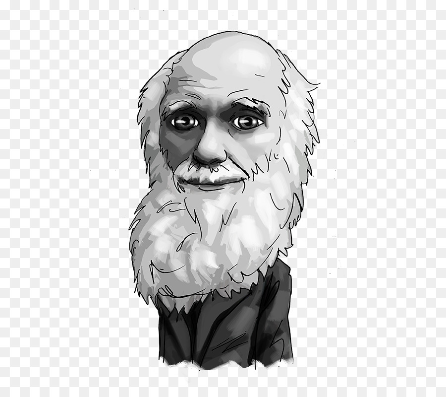 Con Người Kinh Doanh Trường Hối Đoái Đầu Tư Mũi - Charles, Darwin