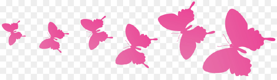 Dramma coreano Il Giardino delle Farfalle di Silla - nuova etichetta