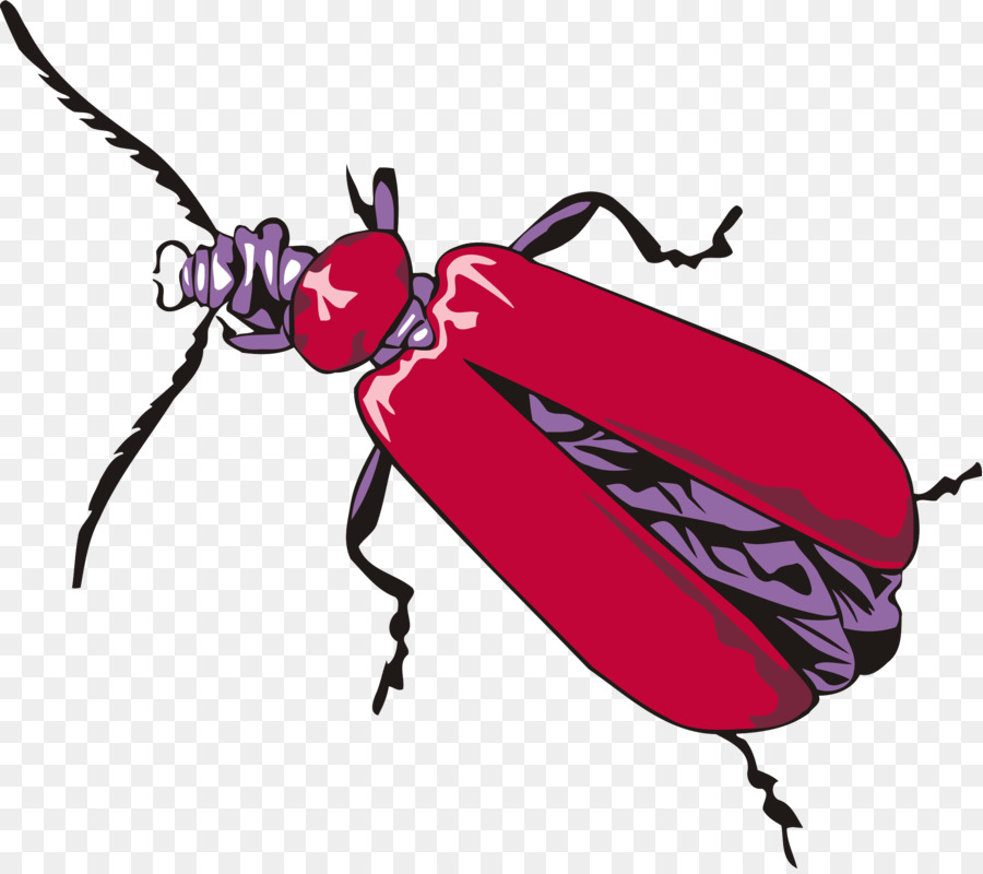 Scarabeo Come disegnare insetti Disegno Clip art - scarabeo