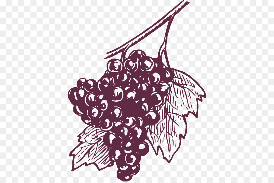 Comune di Uva, Vite da Vino uva succo d'Uva - uve clipart in bianco e nero