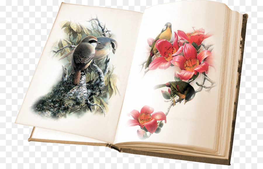Immagine del libro Uccello Clip art, Pittura - Prenota