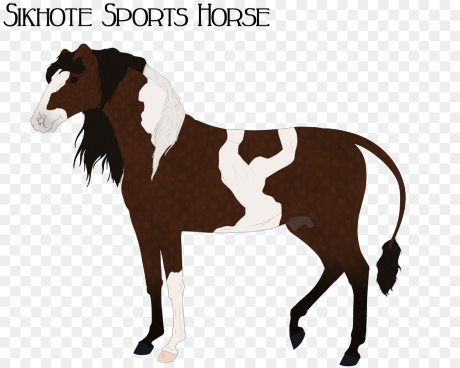 Mustang Ngựa Con Ngựa Colt Kiềm - mustang