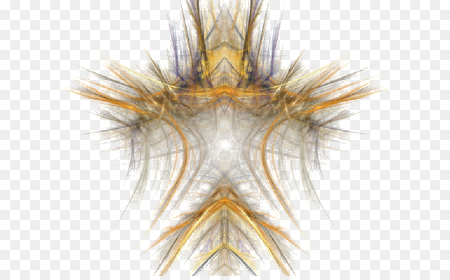 Symmetrie Fraktal Desktop Wallpaper Portable Network Graphics Organismus - transparenter Hintergrund