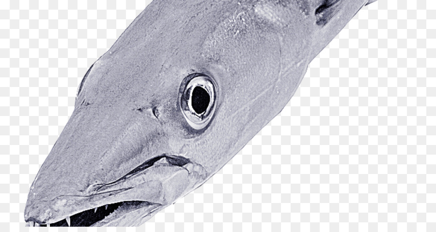 Bony fishes Produkt - Fisch