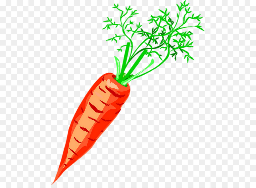 Carota Clip art di Verdure Zuppa di Disegno - carota
