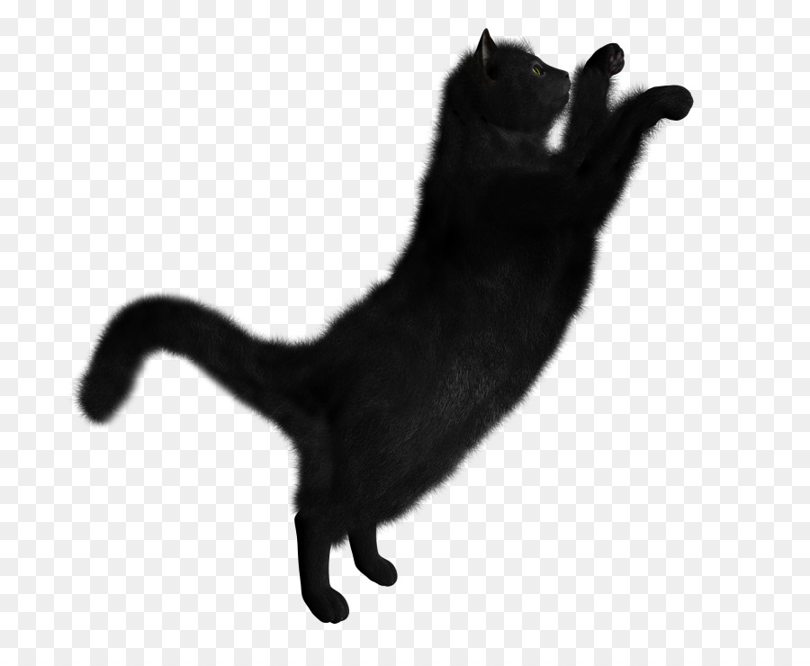 Schwarze Katze Kätzchen Portable Network Graphics Clip art - Katze