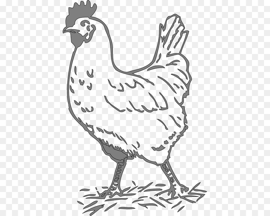 Leghorn gà Rooster Clip nghệ thuật gia Cầm Đỏ Nhỏ Hen - dị potong