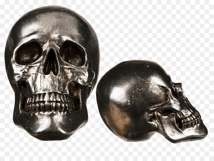 Skull Calavera Totenkopf Skelett Knochen - Schädel