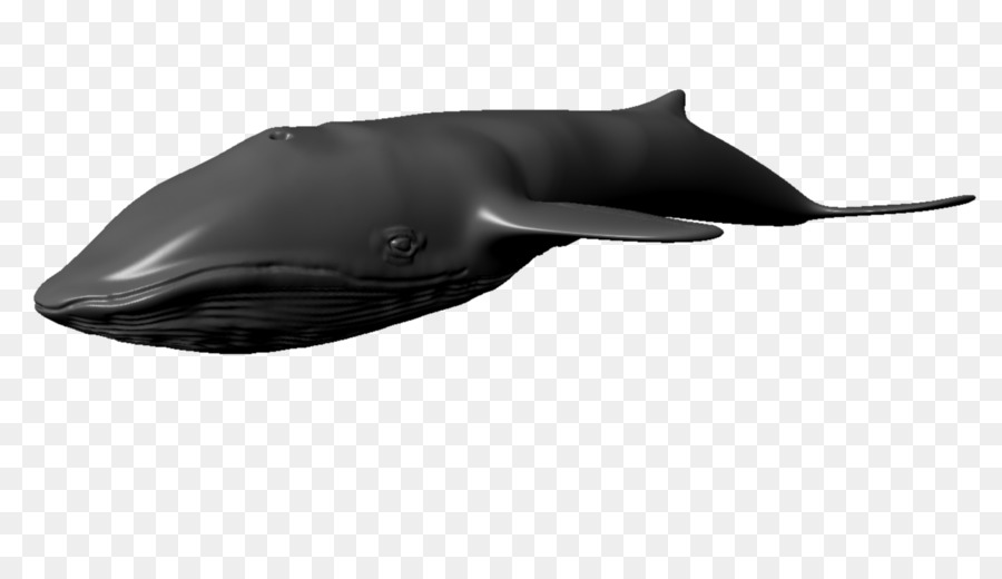 Dolphin design del Prodotto Shark - Delfino