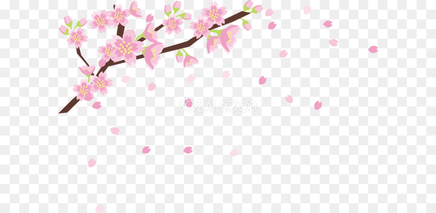 Cherry Blossom Cartoon.