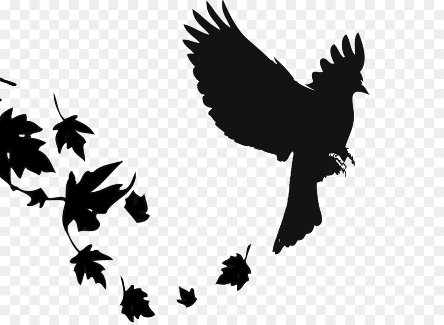 Red-winged blackbird Comune merlo Becco - uccello