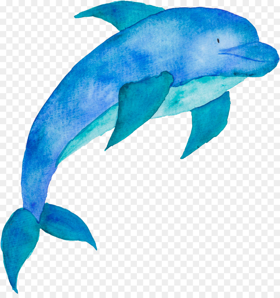 Portable-Network-Graphics-Clip-art-Poster Cetacea Abbildung - Delphin