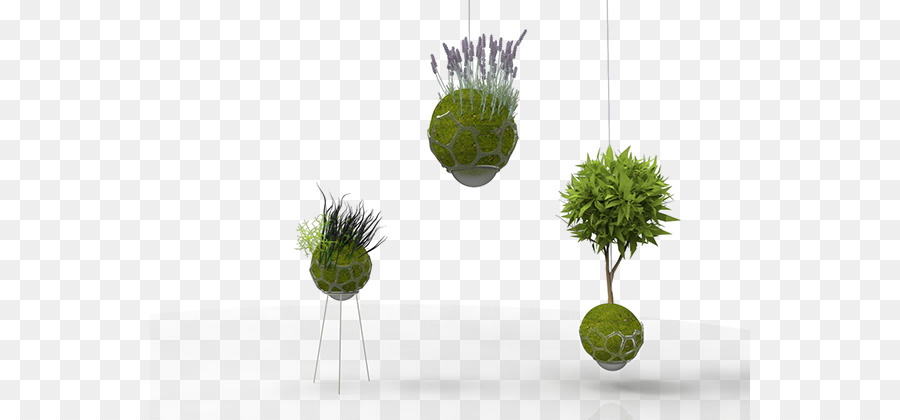 Il design di prodotto Kokedama Behance Vaso di Auto-sostenibilità - cibo starter