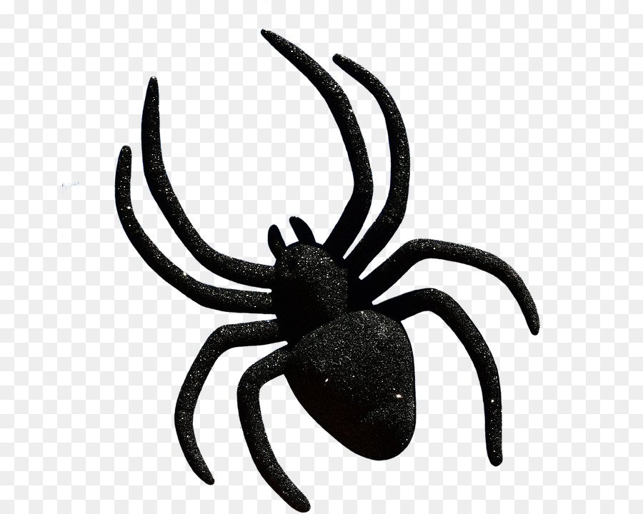 Widow nhện Clip nghệ thuật Halloween Ảnh - con nhện
