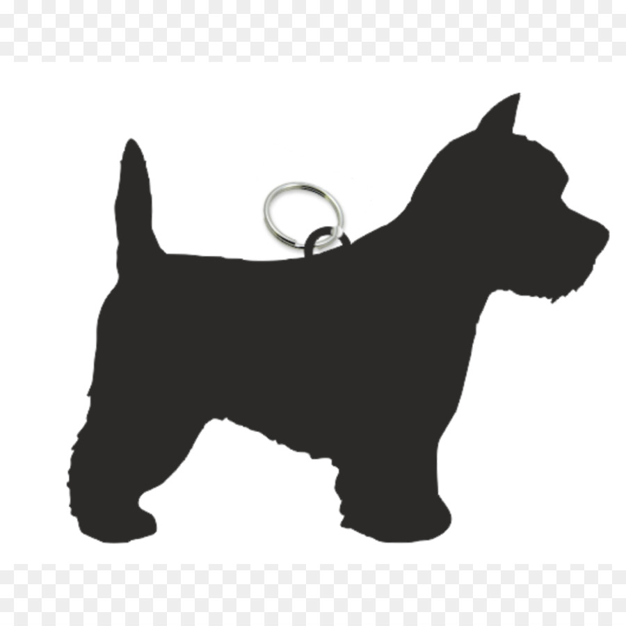 Scottish Terrier, Cairn Terrier, Zwergschnauzer Welpen-West Highland White Terrier - West Highland Terrier