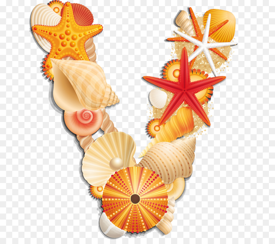 Seashell riccio di Mare, Lettera clipart Alfabeto - conchiglia