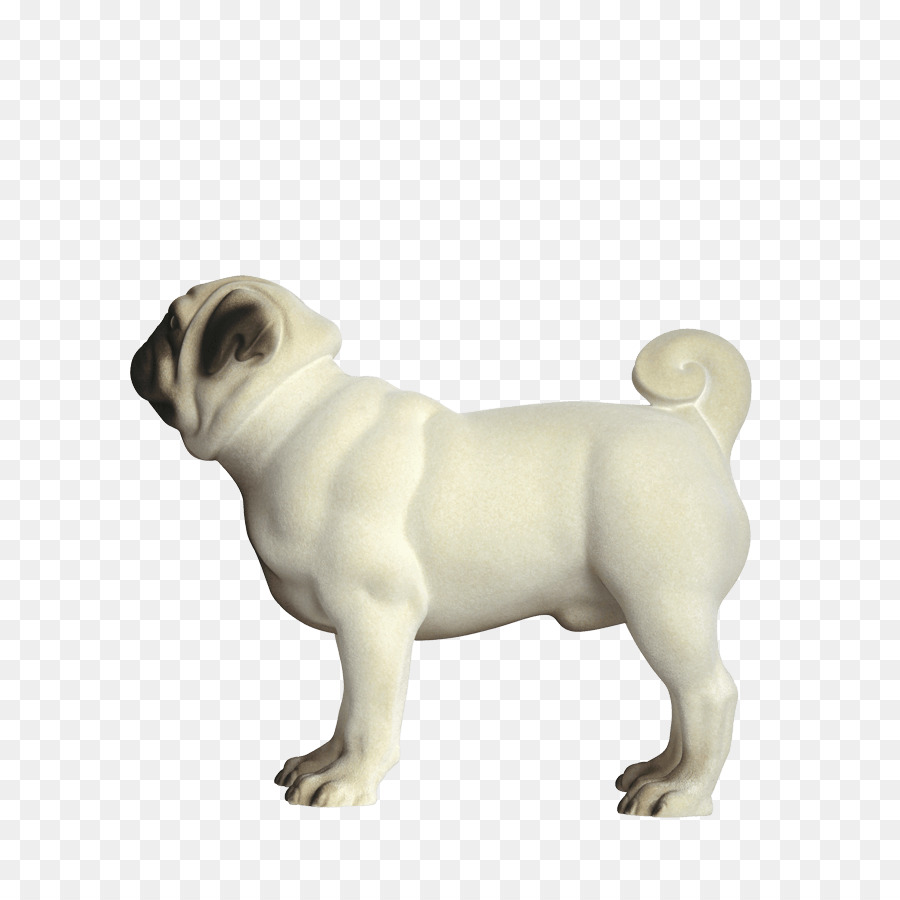 Carlino Toy Bulldog Cucciolo di Cane di razza cane da compagnia - cane carlino