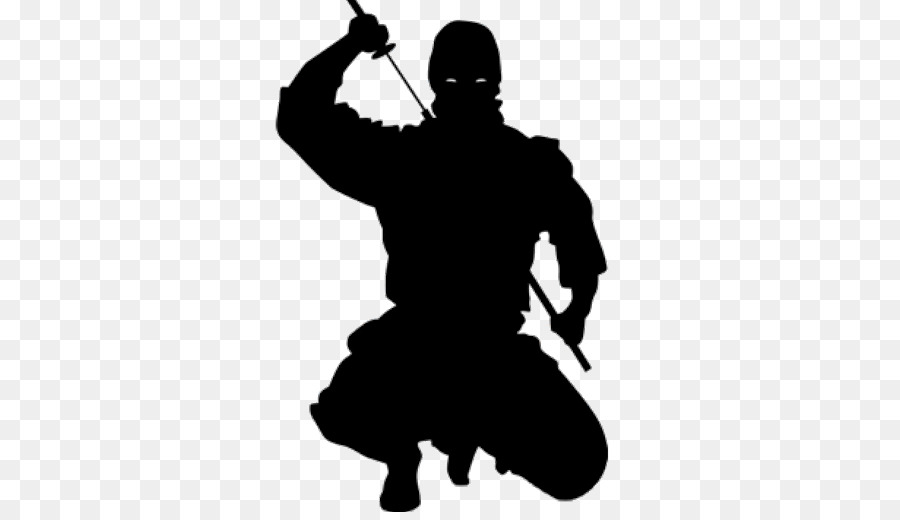 Giappone Ninjutsu il Ninja arti Marziali Shuriken - Giappone