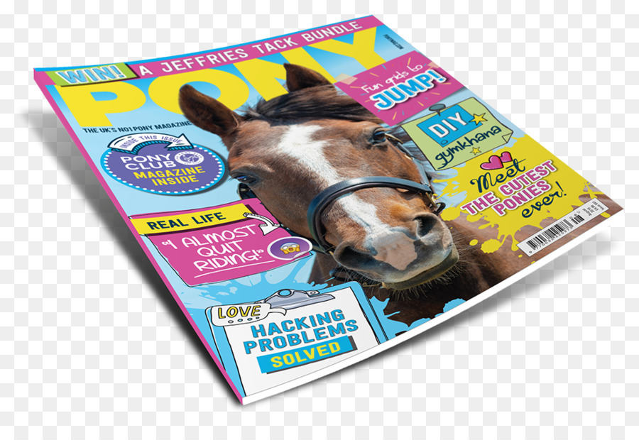 Con ngựa PONY Tạp chí Mõm - Con ngựa
