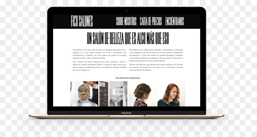 Multimedia FICO SALONES World Wide Web Masvisual Web design - World Wide Web
