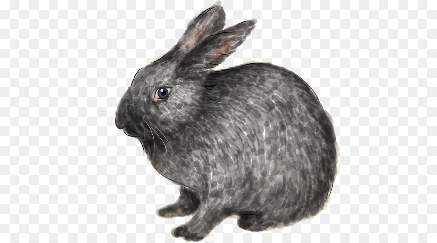 Heimische Kaninchen Hase europäischen rabbit-Bild - Kaninchen