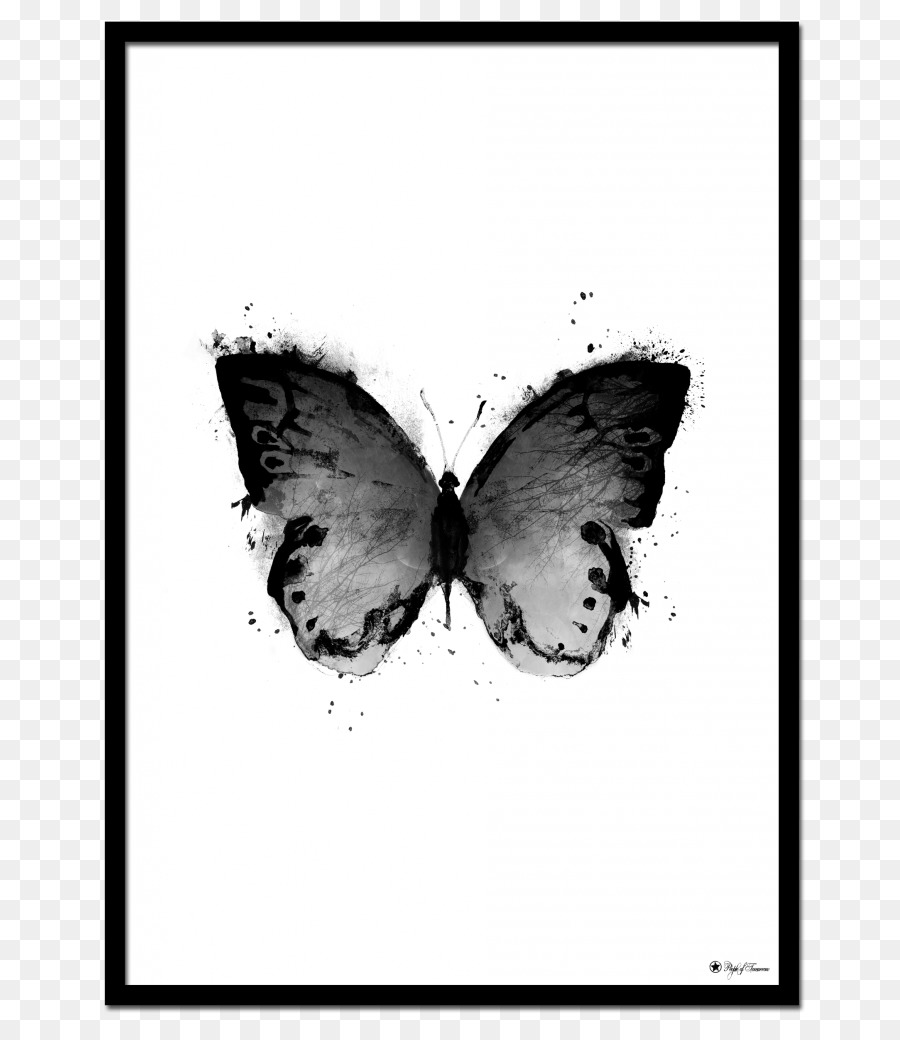 Film-poster-Design-Kunst Schmetterling - schwarz Plakate
