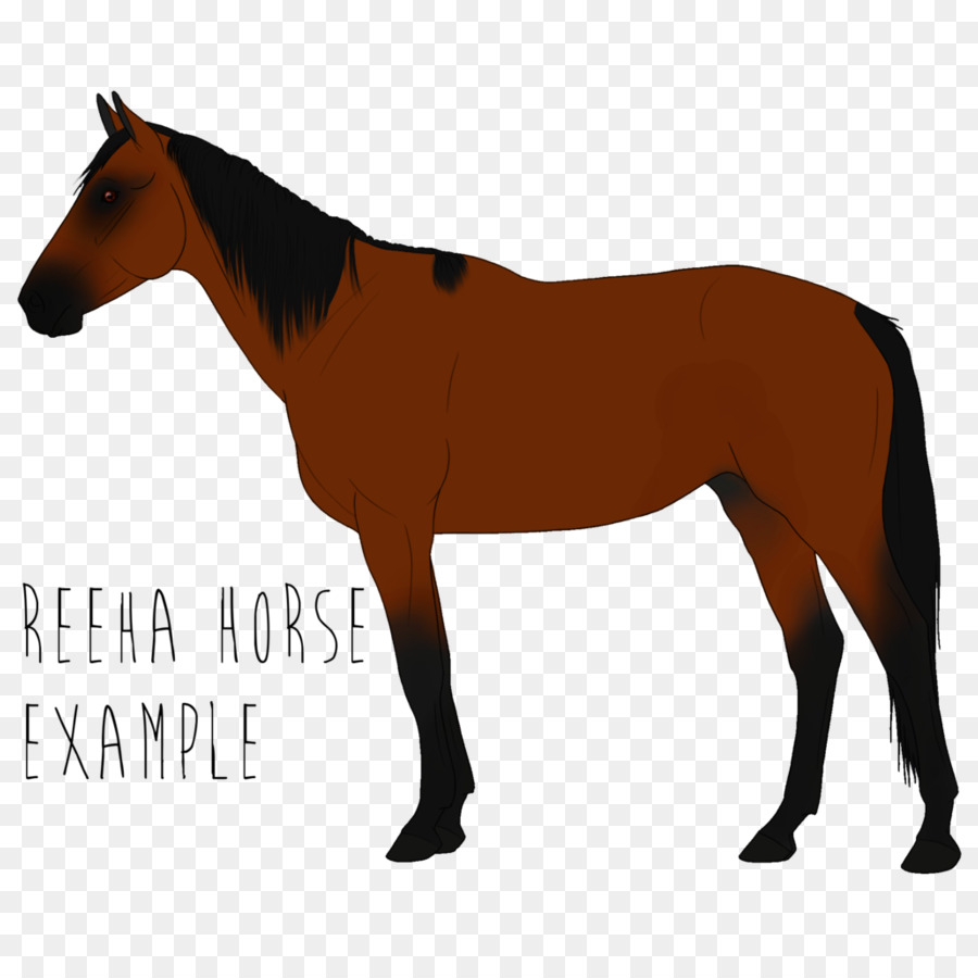 Appaloosa Mustang American Paint Horse Amerikanisches Quarterhorse-Araberpferd - Mustang