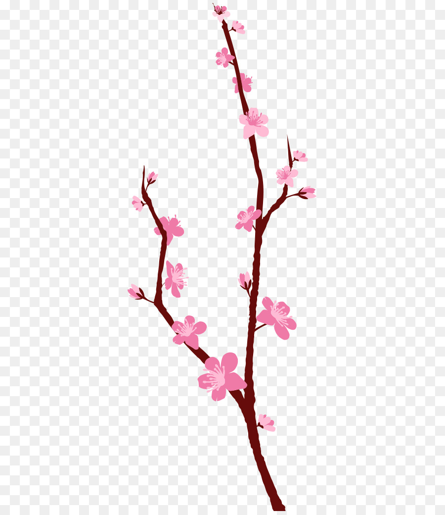 Cherry blossom Floral design-Pflanze-Stiel Zweig - Blüten Kirsche