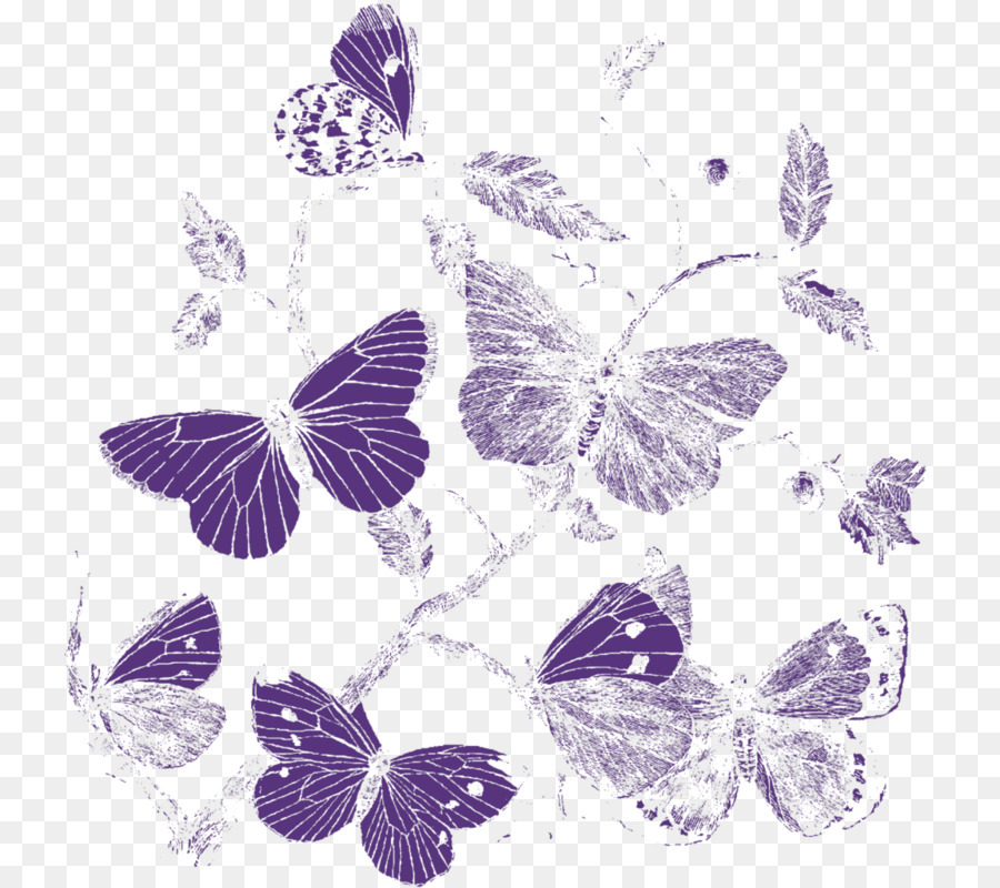Monarch Schmetterling Pinsel footed butterflies Blütenblatt Tiger milkweed butterflies - Schmetterling