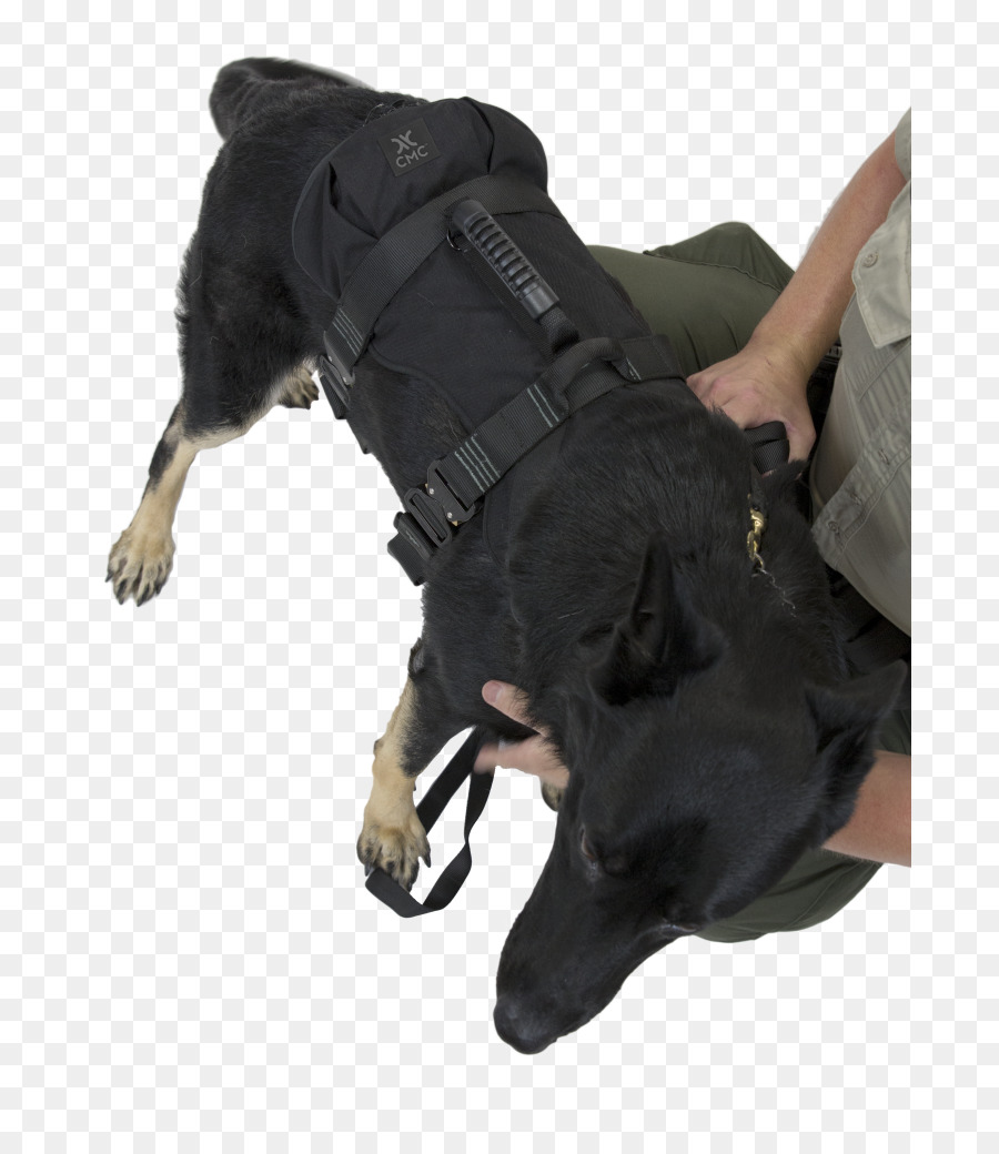 Il Cane da Pastore tedesco cablaggio di Ricerca e salvataggio cani discesa in corda doppia cane poliziotto - imbracatura per cani da salvataggio