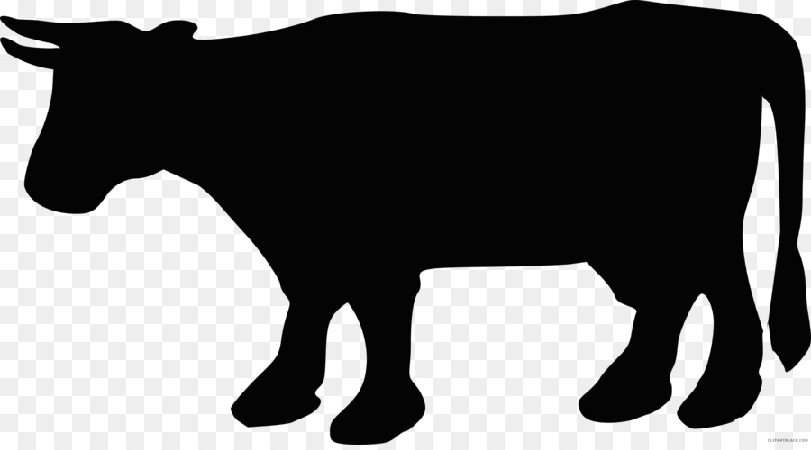 Angus-Rinder, Rinder, Charolais-Rinder, Hereford Rinder, Ochsen - Kuh, schwarz und weiß