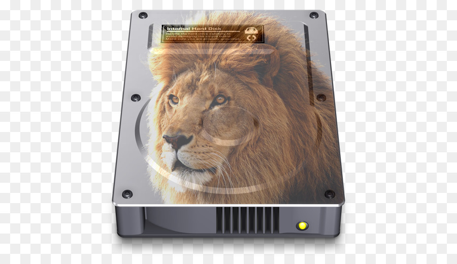 East African lion Felidae Fotografia Macintosh - hd leone