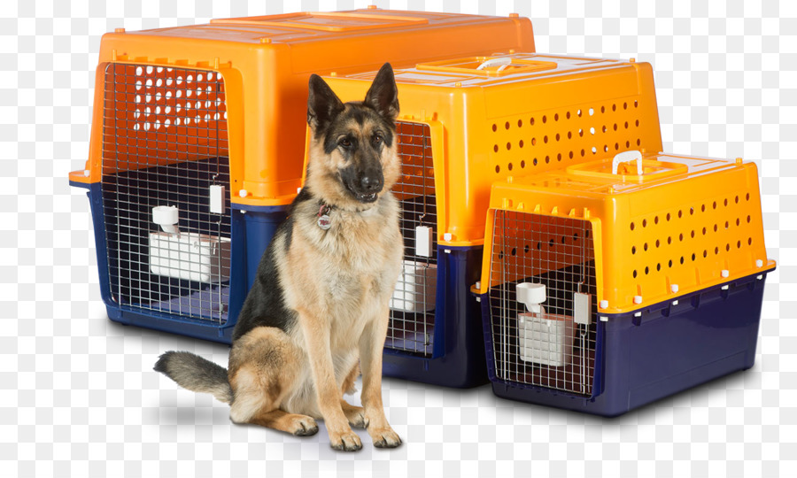 Hundebox Pet-travel-Transport - Reisen ins Ausland